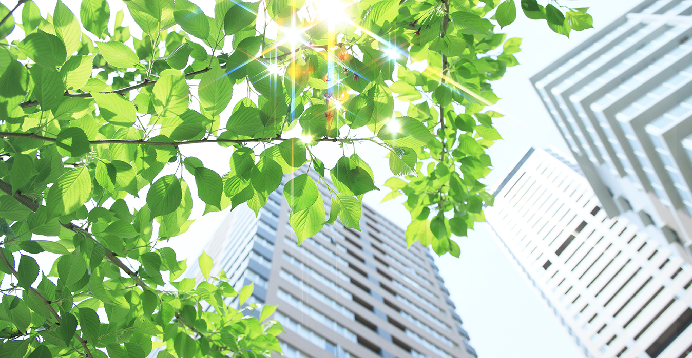 Contribuimos a la sostenibilidad ambiental, certificada por varios organismos